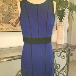 Cynthia Steffe dress